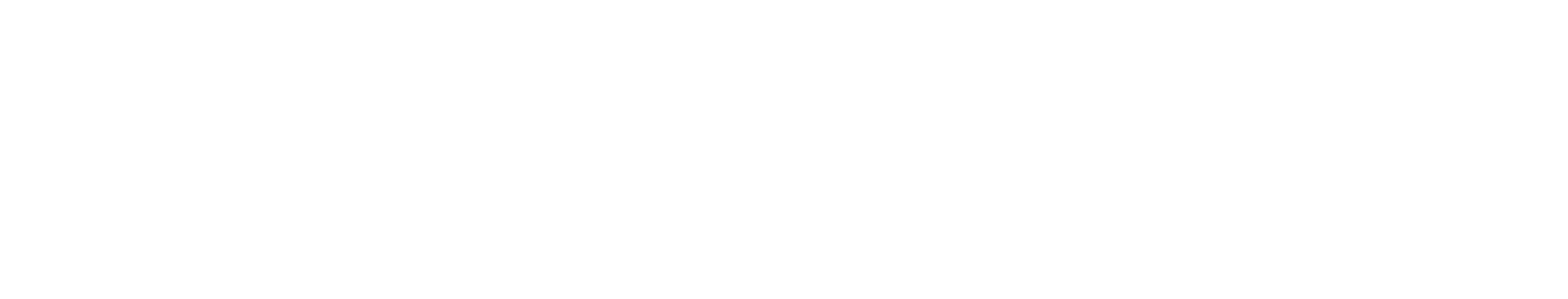 Europa Services